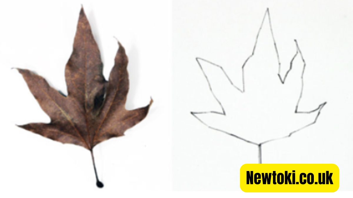 outline definition art