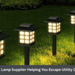 Is Your Street Lamp Supplier Helping You Escape Utility Dependence?