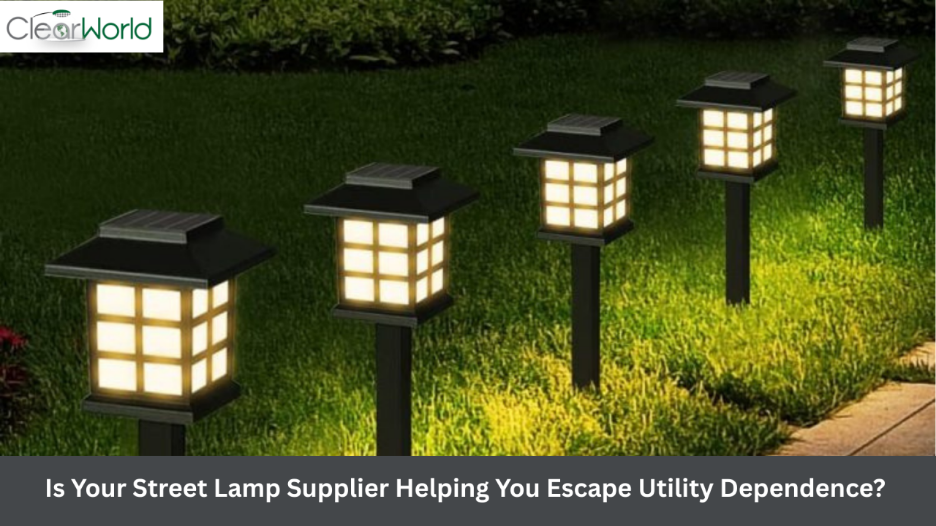 Is Your Street Lamp Supplier Helping You Escape Utility Dependence?